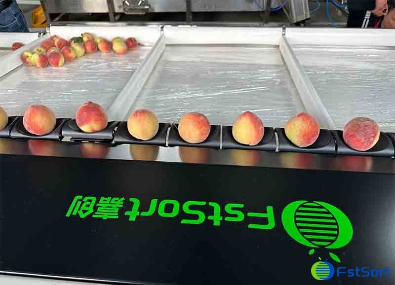 images/1715928698055peach grading machine.jpg